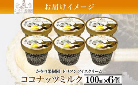 ドリアン ココナッツ アイスクリーム 100ml 6個 濃厚 ココナッツ ミルク