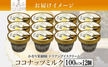 ドリアン ココナッツ アイスクリーム 100ml 12個 セット ココナッツ ミルク