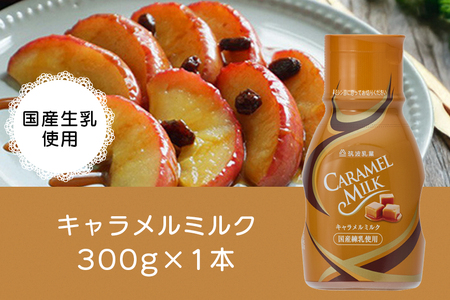 チョコレート・キャラメルソース 3本 セット 3種類 各1本 業務用 チョコレート キャラメル ソース 290g ビターキャラメル 300g キャラメルミルク580g まとめ買い 朝食 製菓 デザート 家庭用 茨城県 石岡市 G15-008