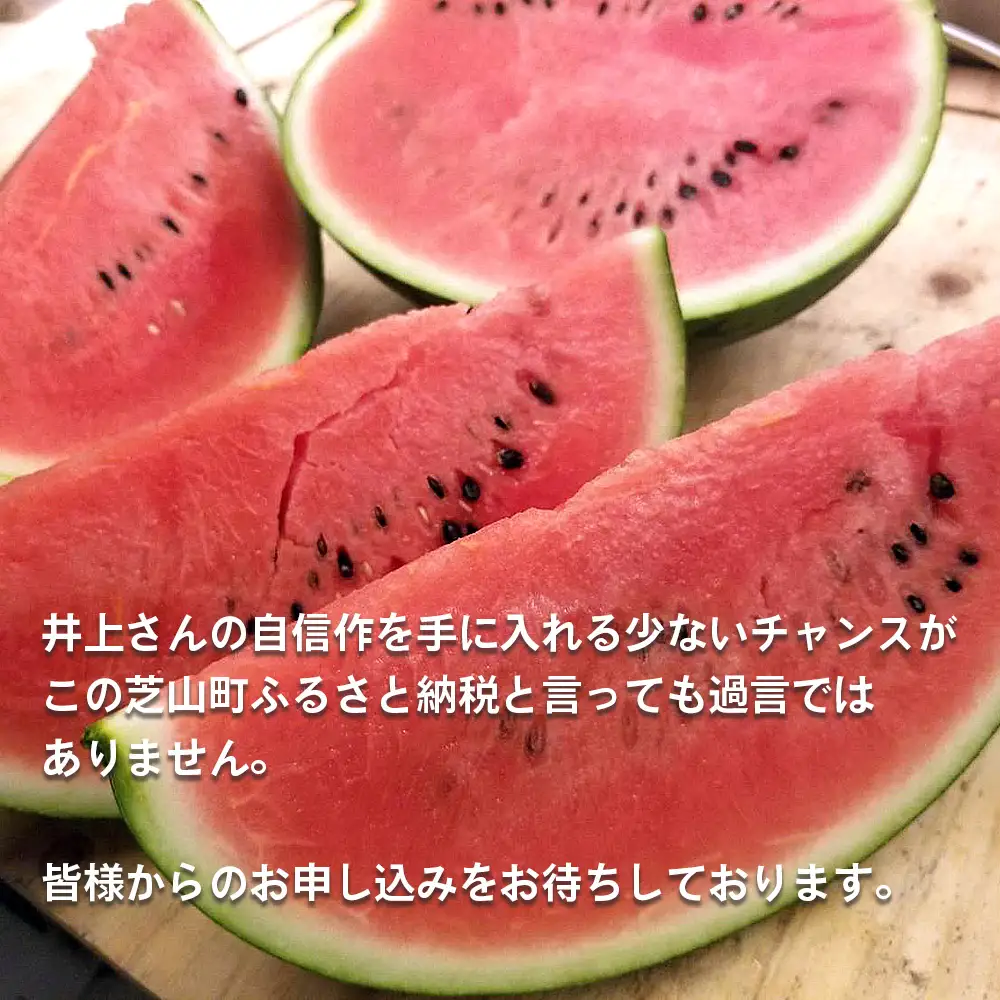 No.012 井上さんの西瓜「自信作（赤肉スイカ）」2Lサイズ以上2玉 ／ スイカ すいか 西瓜 2L 完熟 糖度 高糖度 甘い シャリ感 果物 フルーツ 旬 産地直送 お取り寄せ 贈答 ギフト 暑中見舞い 夏休み デザート 千葉県