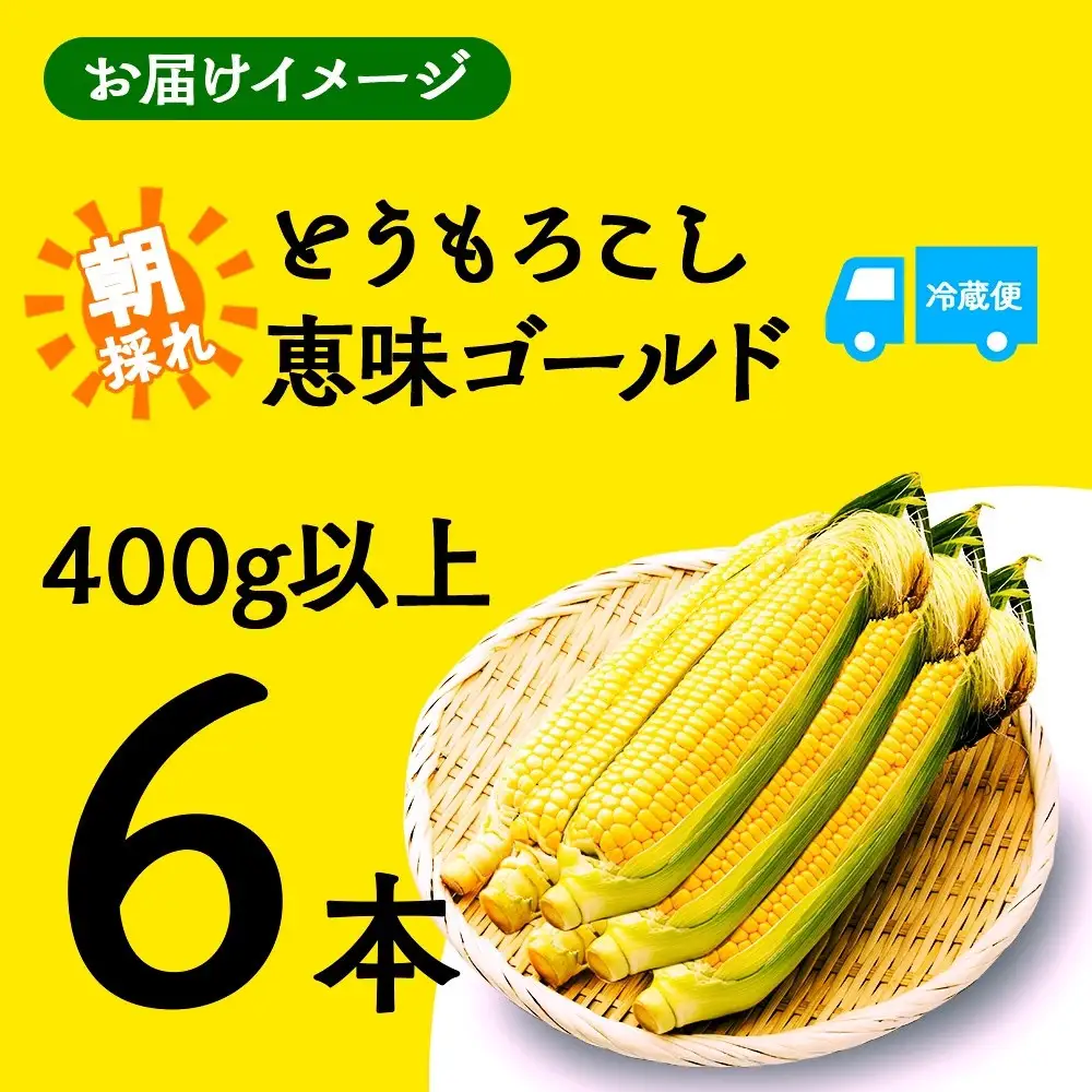 【2026年先行予約】とうもろこし 恵味 ゴールド 400g以上 × 6本 高糖度 トウモロコシ スイートコーン 玉蜀黍 イエローコーン 黄 夏野菜 甘い ジューシー 野菜 おやつ 旬 産地直送 湖南野菜出荷組合 山梨県 富士河口湖町