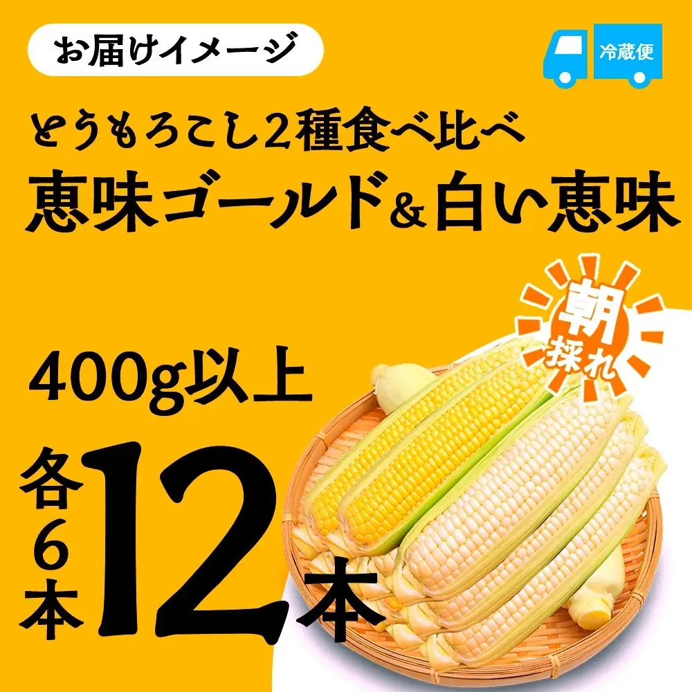 【2026年先行予約】とうもろこし イエロー ＆ ホワイト 2種 食べ比べ 恵味ゴールド 白い恵味 400g以上 各6本 計12本 野菜 おやつ 旬 産地直送 送料無料 湖南野菜出荷組合 山梨県 富士河口湖町