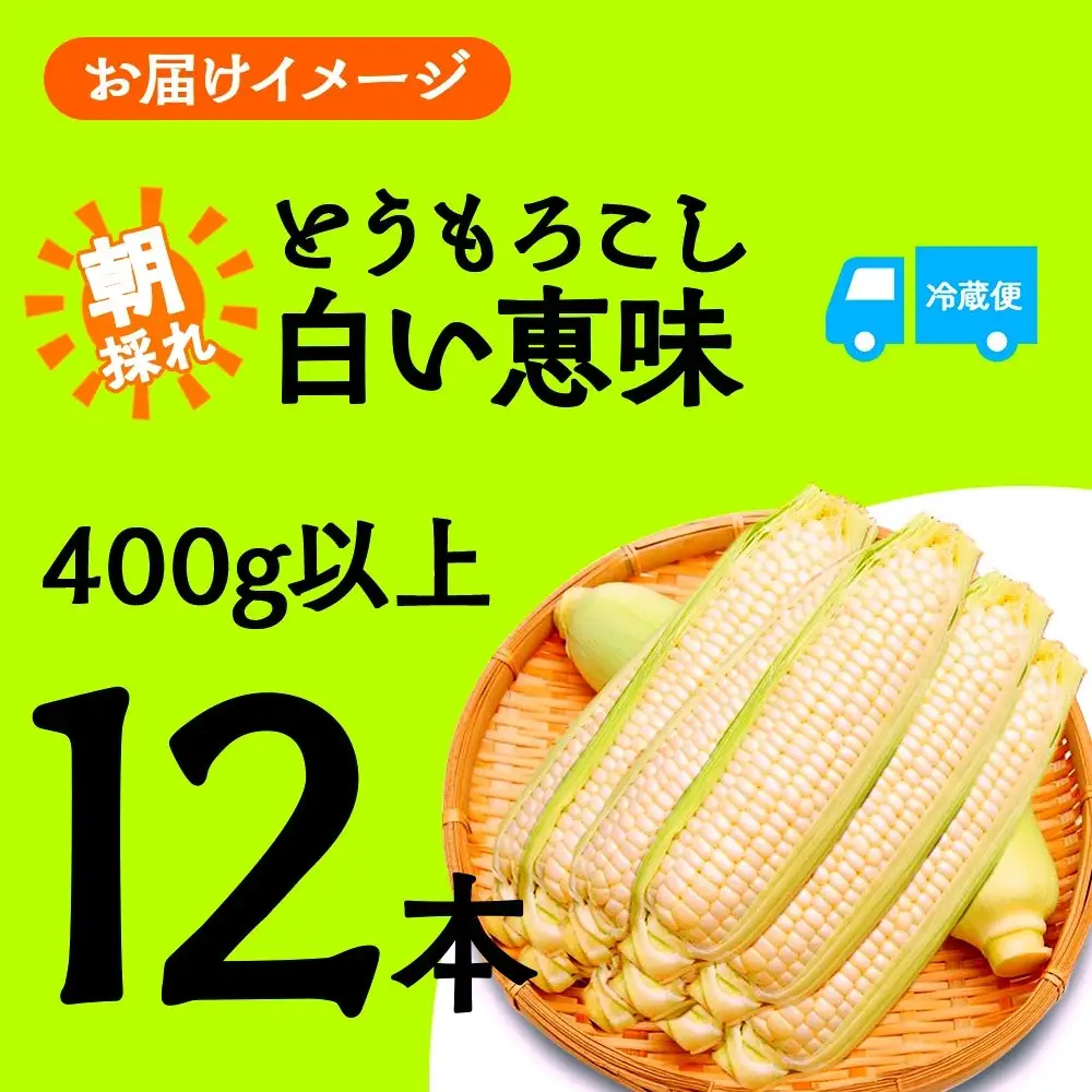 【2026年先行予約】とうもろこし 白い恵味 ホワイト 400g以上×12本 計4.8kg以上 高糖度 トウモロコシ スイートコーン 玉蜀黍 白 夏野菜 ジューシー 野菜 おやつ 甘い 旬 産地直送 送料無料 湖南野菜出荷組合 山梨県 富士河口湖町