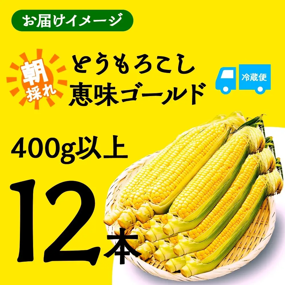【2026年先行予約】とうもろこし 恵味 ゴールド 400g以上×12本 計4.8kg以上 高糖度 トウモロコシ スイートコーン 玉蜀黍 イエローコーン 黄 夏野菜 甘い ジューシー 野菜 おやつ 旬 産地直送 送料無料 湖南野菜出荷組合 山梨県 富士河口湖町