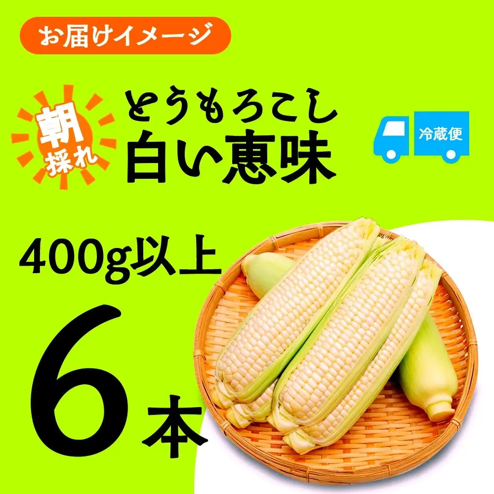 【2026年先行予約】とうもろこし 白い恵味 ホワイト 400g以上×6本 計2.4kg以上 高糖度 トウモロコシ スイートコーン 玉蜀黍 白 夏野菜 ジューシー 野菜 おやつ 甘い 旬 産地直送 送料無料 湖南野菜出荷組合 山梨県 富士河口湖町