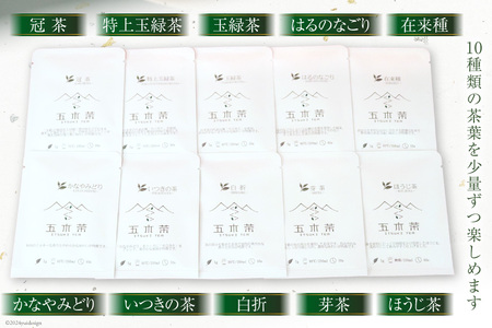 【 栽培期間中農薬 ・ 化学肥料不使用 】 お茶 五木茶 飲み比べ 10種 セット [松井製茶 熊本県 五木村 51120214]