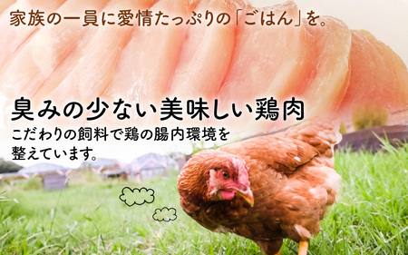 【全8種・2ヶ月毎 / 年4回お届け】KITO ペットミンチ定期便セット（約350g×2パック×4回 計約2.8kg）| 鶏肉