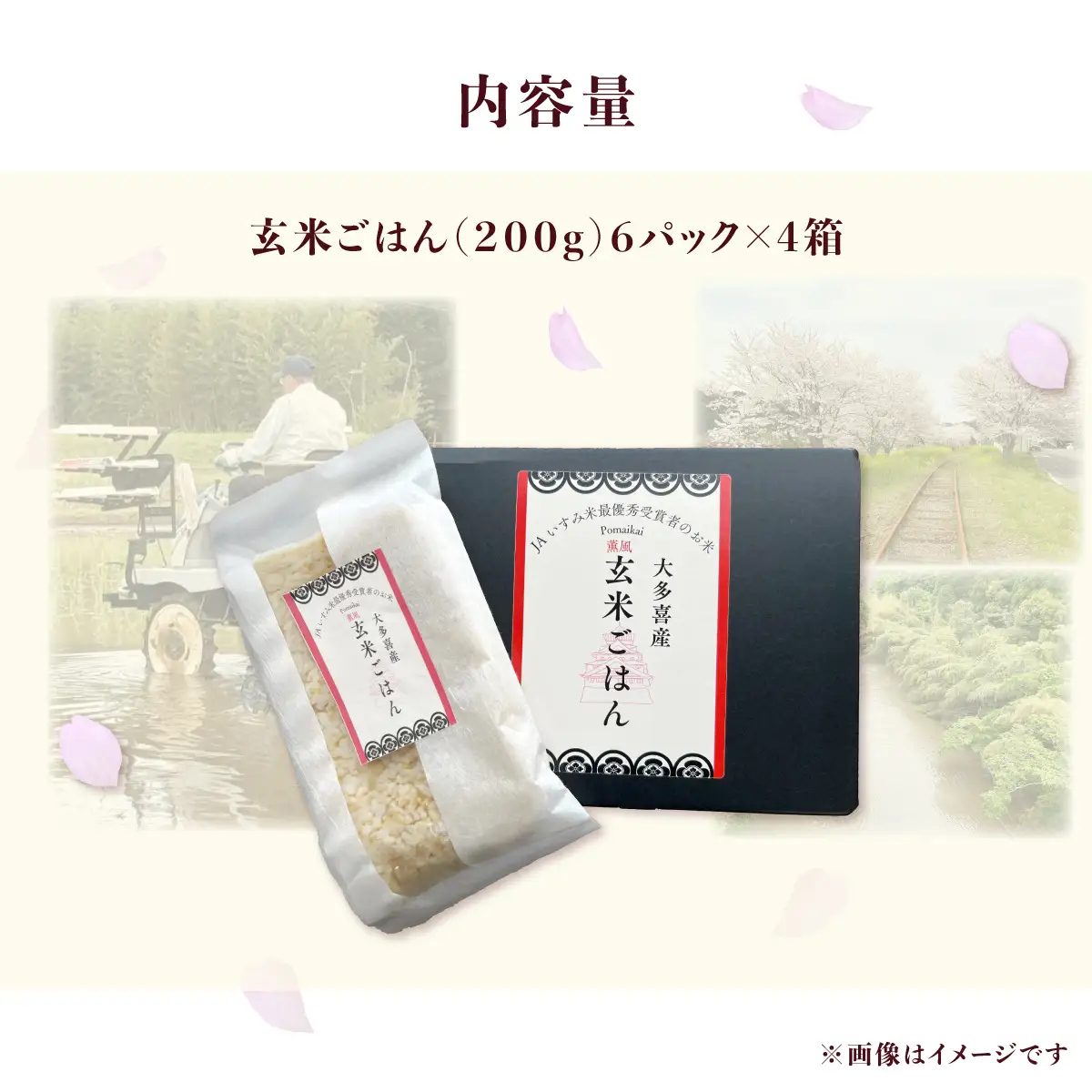 玄米ごはん２００g×２４　ふるさと納税 米 こめ コメ ごはん ご飯 コシヒカリ 玄米 200g 6パック セット 4箱 計24個 長期保存 常温 無添加 お弁当 キャンプ 備蓄 非常食 千葉県 大多喜町 KP04701