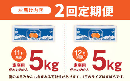 【2回定期便】※【2026年11月上旬より順次発送／先行予約】伊木力みかん(家庭用) 5kg / みかん ミカン 蜜柑 柑橘 フルーツ ふるーつ 果物 くだもの / 諫早市 / 山野果樹園 [AHCF008]