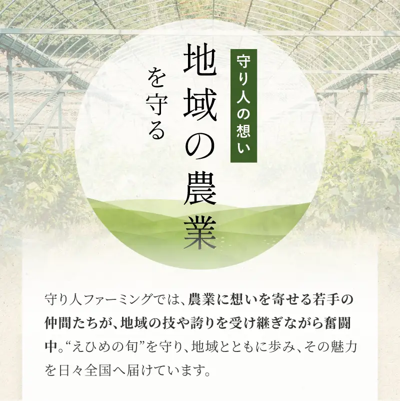 [先行予約] [数量限定] 守り人の甘平 3kg（家庭用） [K003070] 2月上旬～2月下旬に順次発送予定