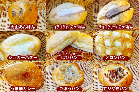 はぴはぴハッピーぱん 15個詰め合わせセット (食パン 塩ぱん 大山あんぱん カレーパン 等)[0497]