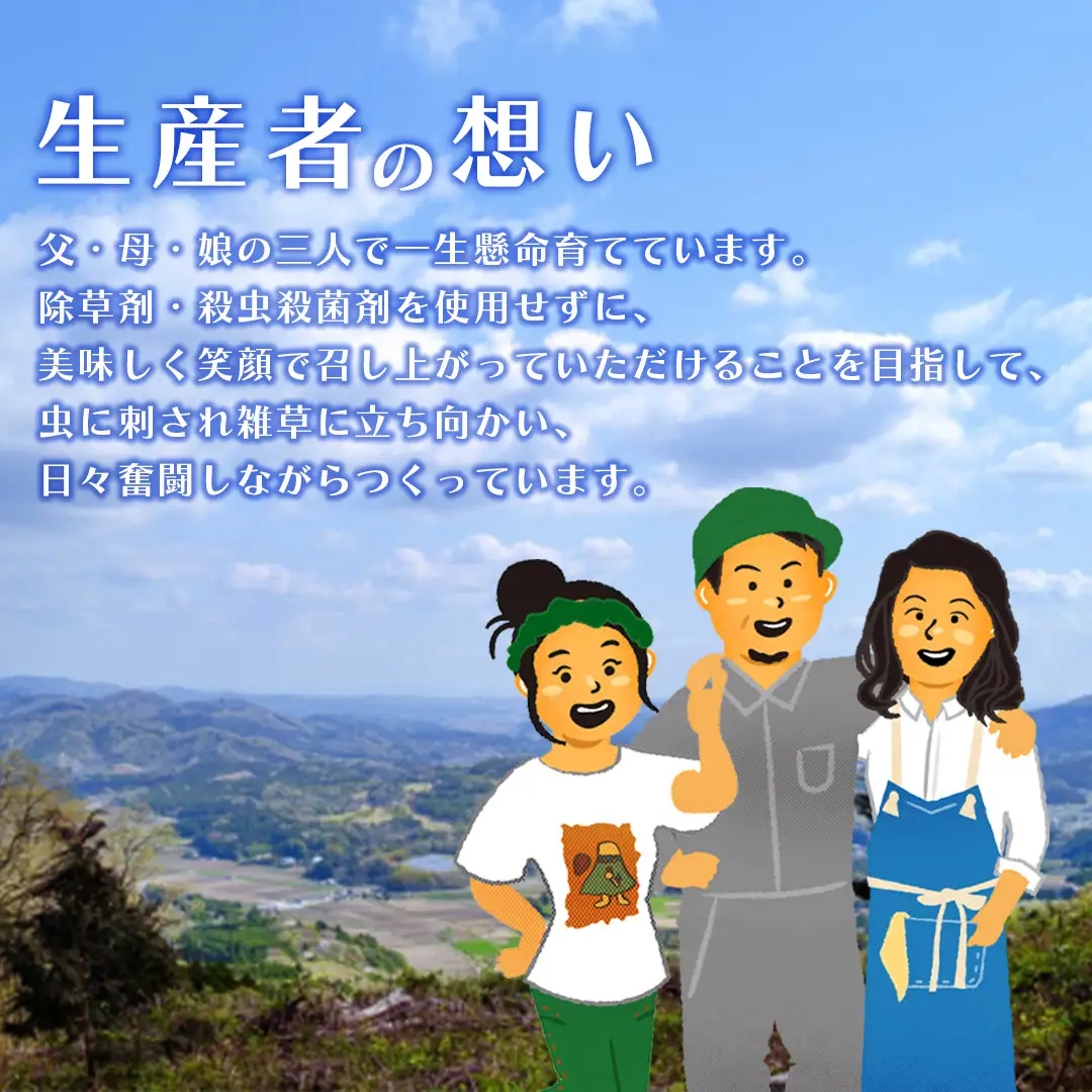 茨城県桜川市産 「 百花蜜 」合計 300g (150g×2P) 日本みつばち はちみつ ハチミツ 蜜 蜂蜜 パック詰め パック包装 小分け[DZ005sa]