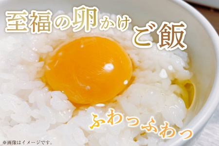 6回 定期便 米 宮城県産 ひとめぼれ 10kg (5kg ×2袋) ×6回 総計 60kg [菊武商店 宮城県 気仙沼市 20565602]