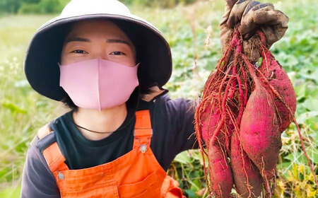 【2026年11月より発送】島の元気なさつまいも!ねっとり甘い『紅はるか』5kg 五島市/あわたに農園[PGO002]