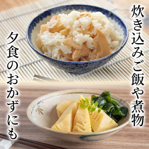 たけのこ 水煮缶 500g(1缶)  京都山城産たけのこ