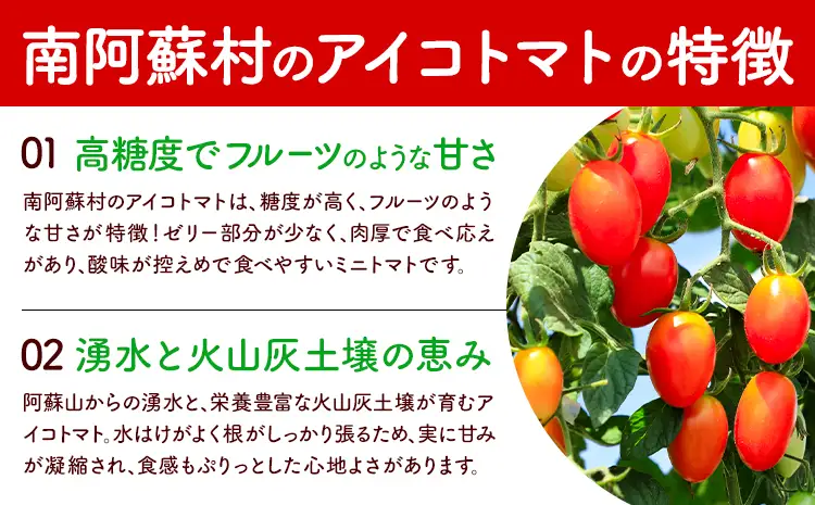 ミニトマト アイコ 約2kg ますだふぁーむ《7月上旬-11月末頃出荷》熊本県 南阿蘇村 アイコトマト 野菜 旬 夏野菜 トマト