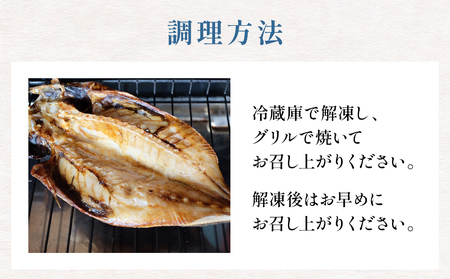 【隔月3回定期便】【訳あり】あじの干物（約30cm）12枚  富山県 氷見市 アジ 魚 干物 開き