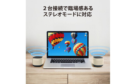 【ブラック】Bluetooth 5.0 ポータブル ワイヤレス スピーカー2個セットPG-PWS01-03 AOS0004VC01