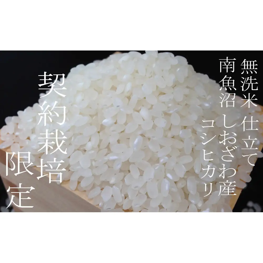 【令和7年産 無洗米5Kg】南魚沼しおざわ産コシヒカリ
