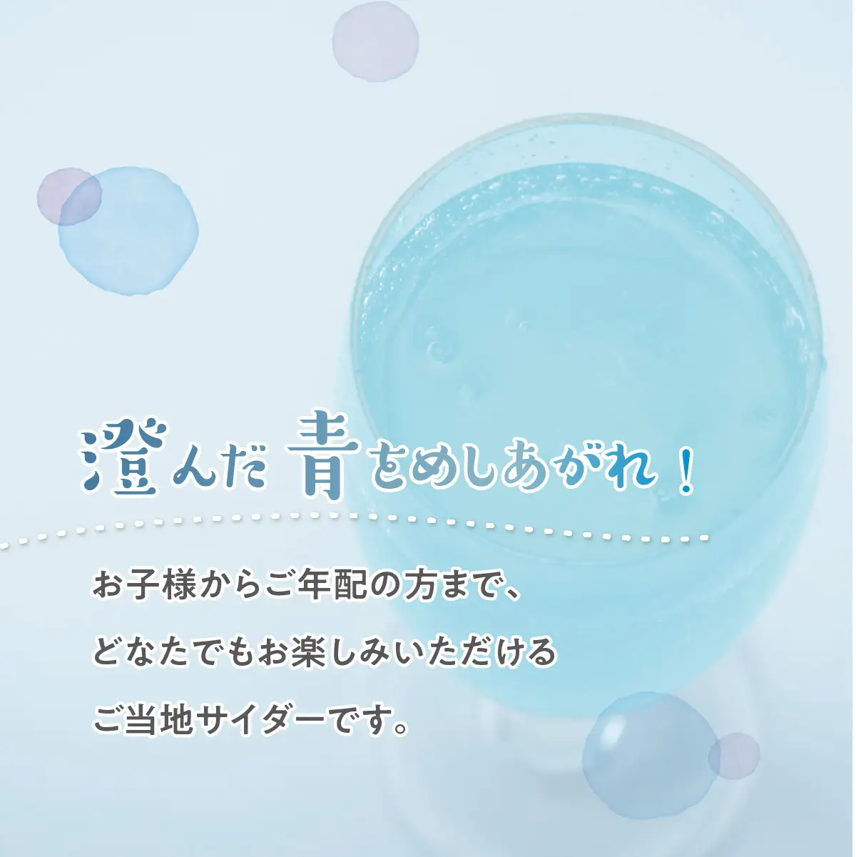 茨城ネモフィラサイダー　240ml×20本【1630240】