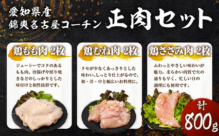 名古屋コーチン 正肉セット 800g 鶏肉
