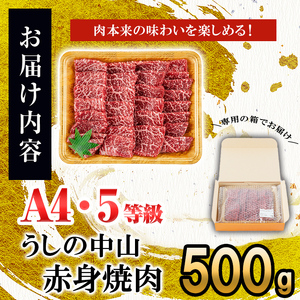 うしの中山 赤身焼肉用500g×1P 黒毛和牛 和牛 肉 牛肉 国産 九州産 鹿児島県産 焼肉 赤身 日本一 b3-021