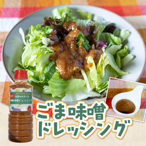 てりやきソース ごま味噌ドレッシング セット 各1本 360ml 計2本 お取り寄せ 万能調味料 アレンジ料理 家庭料理 簡単調理 漬け込み 献立 食卓 食事処おおつき 調味料 たれ 贈答 静岡県 富士市 [sf002-459]