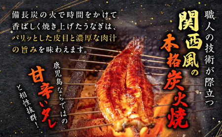 職人 が 丁寧 に 仕上げる 本格 炭火焼 鹿児島県産うなぎ の 蒲焼き 5尾 K282-001_02 魚 惣菜 総菜 冷凍