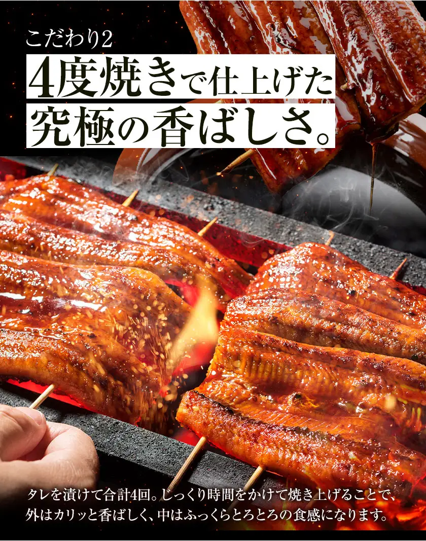 福岡県産 うなぎ 4尾 (1尾当たり：140g-180g) 国産 株式会社HOMIE 《45日以内に出荷予定(土日祝除く)》