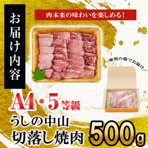＜A4・A5等級＞鹿児島県産黒毛和牛 うしの中山 切り落とし焼肉用 500g 黒毛和牛 和牛 肉 牛肉 国産 九州産 鹿児島県産 焼肉 日本一 a9-044