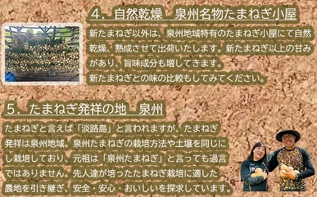 岸上農園　泉州玉ねぎ　約10kg
