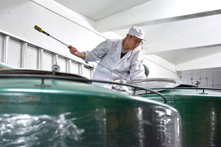 日本酒　アルプス正宗　純米飲み比べセット 720ｍｌ×各1本（合計2本）