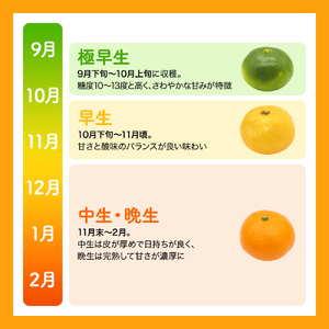  【和歌山県産】訳あり 温州みかん 1kg お試しに♪ (早生・中生・晩稲)【S～2Lサイズおまかせ】【2026年10月中旬～2027年2月下旬頃までに順次発送】＜味好農園＞/ 「おてんば娘」みかん 蜜柑 柑橘 温州みかん 訳あり 果物 フルーツ 甘い 果汁溢れる【agy004-c-1】