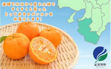 秀品 ポンカン 2kg 【S~2Lのサイズおまかせ】【2026年10月中旬から1月下旬頃に順次発送】＜味好農園＞/ ぽんかん 蜜柑 みかん 柑橘 果物 フルーツ 【agy008-p-2】