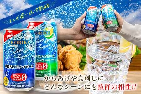 【雲海酒造】木挽BLUE ハイボール2種セット 350ml×48本（木挽ブルー）_0087-023