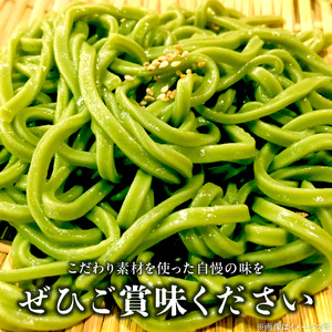 九州八女の抹茶うどん500gと濃縮だし400mlセット_九州 八女 抹茶うどん 100g 5袋 計 500g 濃縮 うどんだし シロ ざるだし クロ 各 200ml 1本 セット 抹茶 練りこんだ うどん 体に優しい だし 薄めて 茶碗蒸し だし巻き卵 中華スープ お吸い物 天つゆ お取り寄せ グルメ 福岡県 久留米市 送料無料 〔Bu024〕