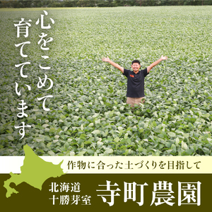 【2026年8月より発送】産地直送！北海道十勝芽室町 枝付き枝豆 5kg おつまみ ビール お酒 酒の肴 晩酌 たっぷり 送料無料 特産品 お手軽 北海道 十勝 芽室町 me081-001c