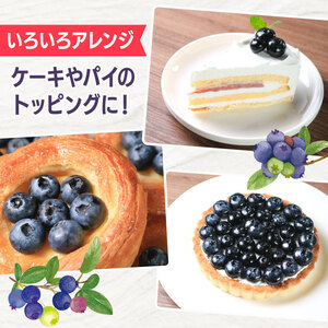 【先行予約】冷凍ブルーベリー 約500g（1袋500g） ブルーベリー