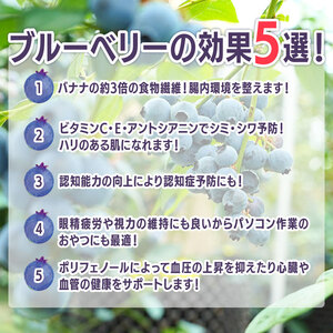 【先行予約】冷凍ブルーベリー 約1kg（1袋500g×2） ブルーベリー