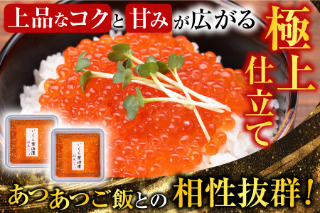 【北海道根室産】時しらず鮭600g×1P・いくら醤油漬け50g×2P B-42106