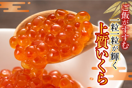 紅鮭姿切り1.2kg×1P・いくら醤油漬け50g×4P C-42095