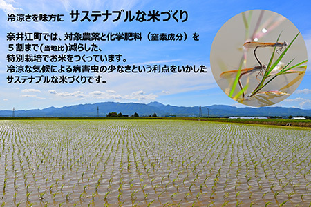 【定期便6回】北海道奈井江町　特別栽培米　ななつぼし　5kg