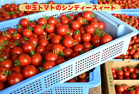 【定期便6回】江口農園　江口農園セット