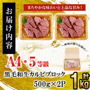 カルビブロック500g×2P（計1kg）黒毛和牛 和牛 肉 牛肉 国産 九州産 鹿児島県産 焼肉 カルビ 日本一 c2-013