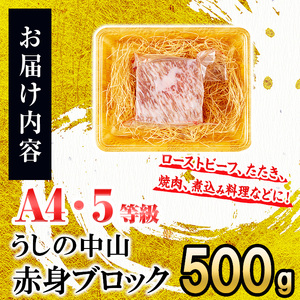 赤身ブロック500g×1P 黒毛和牛 和牛 肉 牛肉 国産 九州産 鹿児島県産 焼肉 ローストビーフ たたき 煮込み 日本一 冷凍 ブロック肉 BBQ バーベキュー ステーキ b0-204