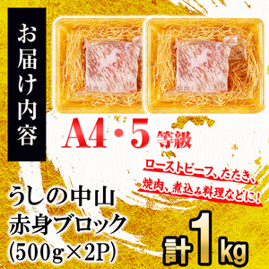 赤身ブロック計1kg(500g×2P)  黒毛和牛 和牛 肉 牛肉 国産 九州産 鹿児島県産 焼肉 ローストビーフ たたき 煮込み 日本一 冷凍 ブロック肉 BBQ バーベキュー ステーキ c0-125