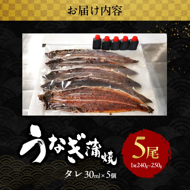 うなぎ 国産 蒲焼き 5尾 (1.2kg～1.25kg) 詰め合わせ セット うなぎ蒲焼 国産うなぎ 国産うなぎ蒲焼 うなぎの蒲焼 冷凍ウナギ 冷凍食品 冷凍 惣菜 おかず 魚 魚介 魚介類 大阪 大阪府 岸和田市