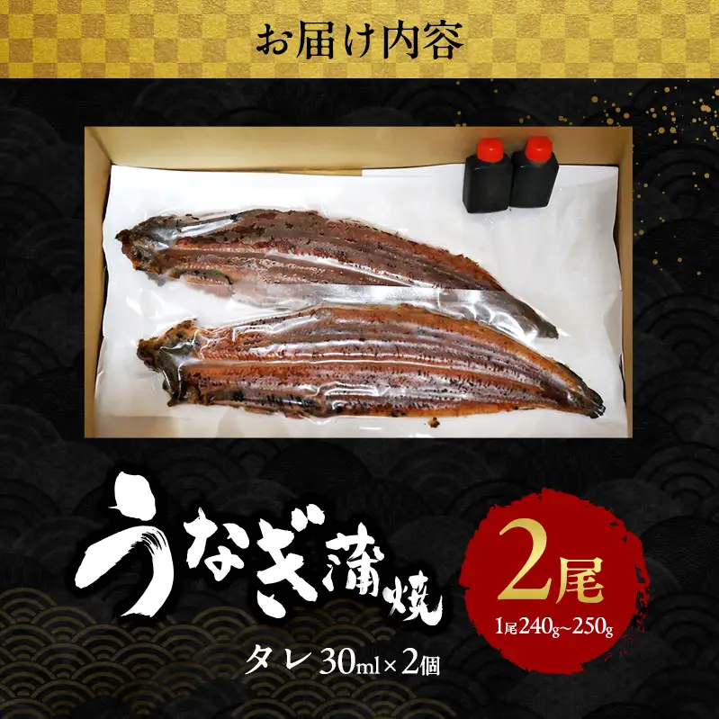 うなぎ 国産 蒲焼き 2尾 (480g～500g) 詰め合わせ セット うなぎ蒲焼 国産うなぎ 国産うなぎ蒲焼 うなぎの蒲焼 冷凍ウナギ 冷凍食品 冷凍 惣菜 おかず 魚 魚介 魚介類 大阪 大阪府 岸和田市