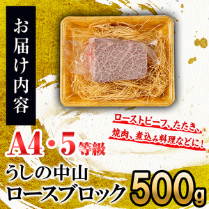 ロースブロック 500g×1P 黒毛和牛 和牛 肉 牛肉 国産 九州産 鹿児島県産 ロース 焼肉 ローストビーフ たたき 煮込み 日本一 冷凍 ブロック肉 BBQ バーベキュー ステーキ c0-126