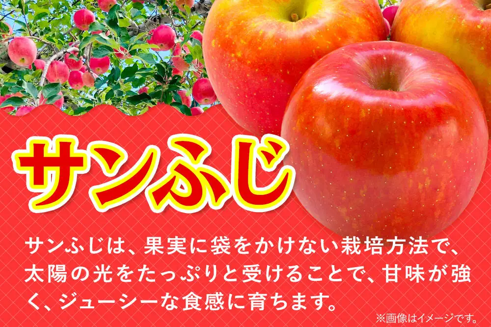 【27年2月発送】りんご 贈答用 サンふじ・王林 詰め合わせ 約10kg